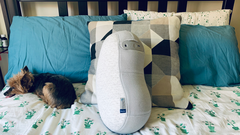 Small dog for scale. The bean-shaped Somnox is good for spooning, but at four pounds, it’s a bit hefty when rolling over.